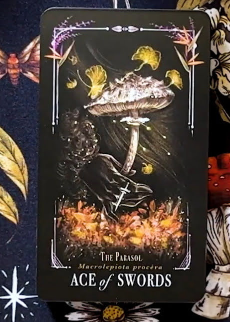 Midnight Magic: A Tarot Deck of Mushrooms